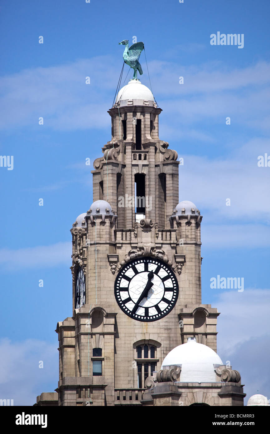 Liver Building Liverpool Stock Photo