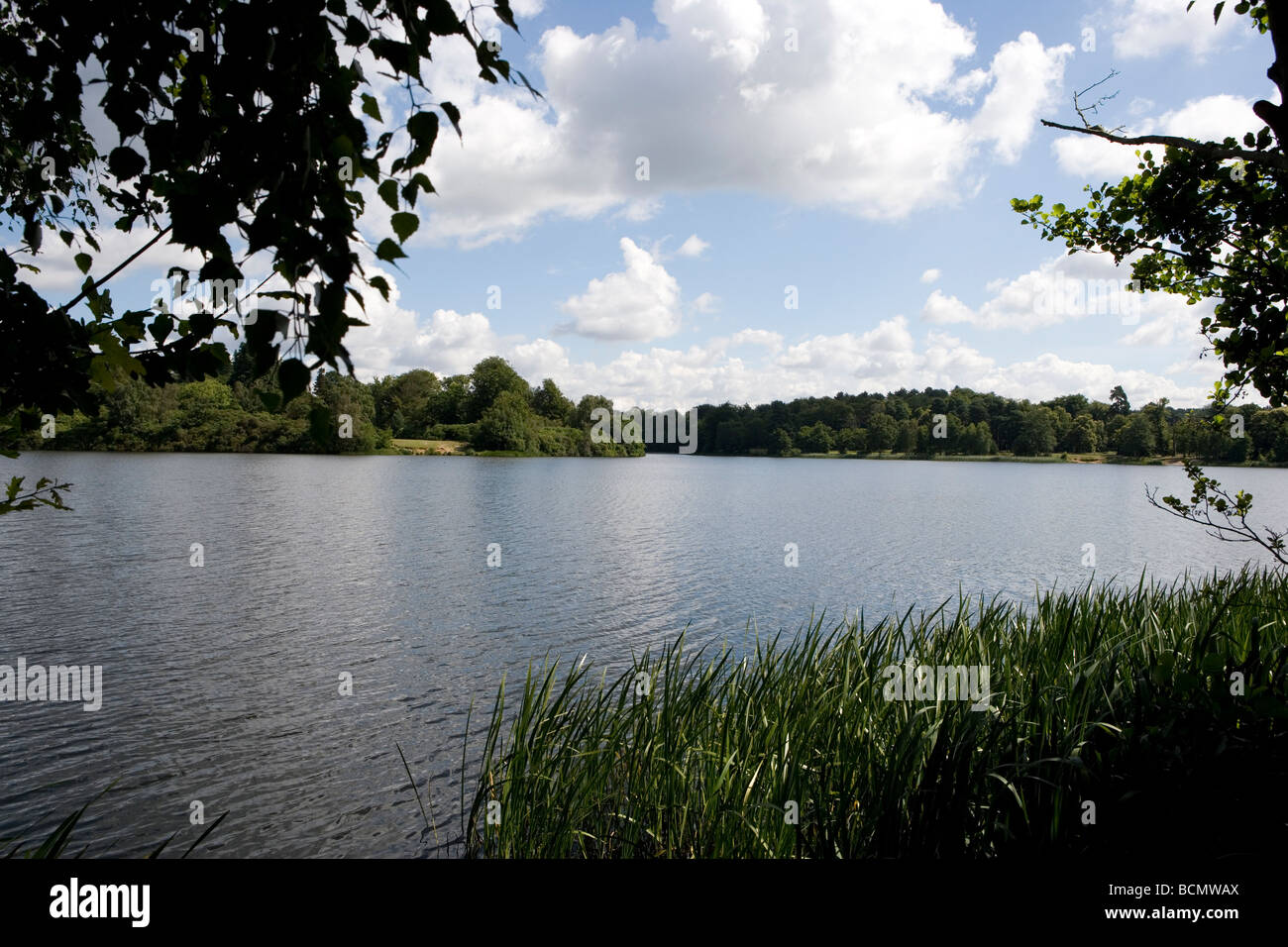 Virginia Water Surrey England Stock Photo Alamy