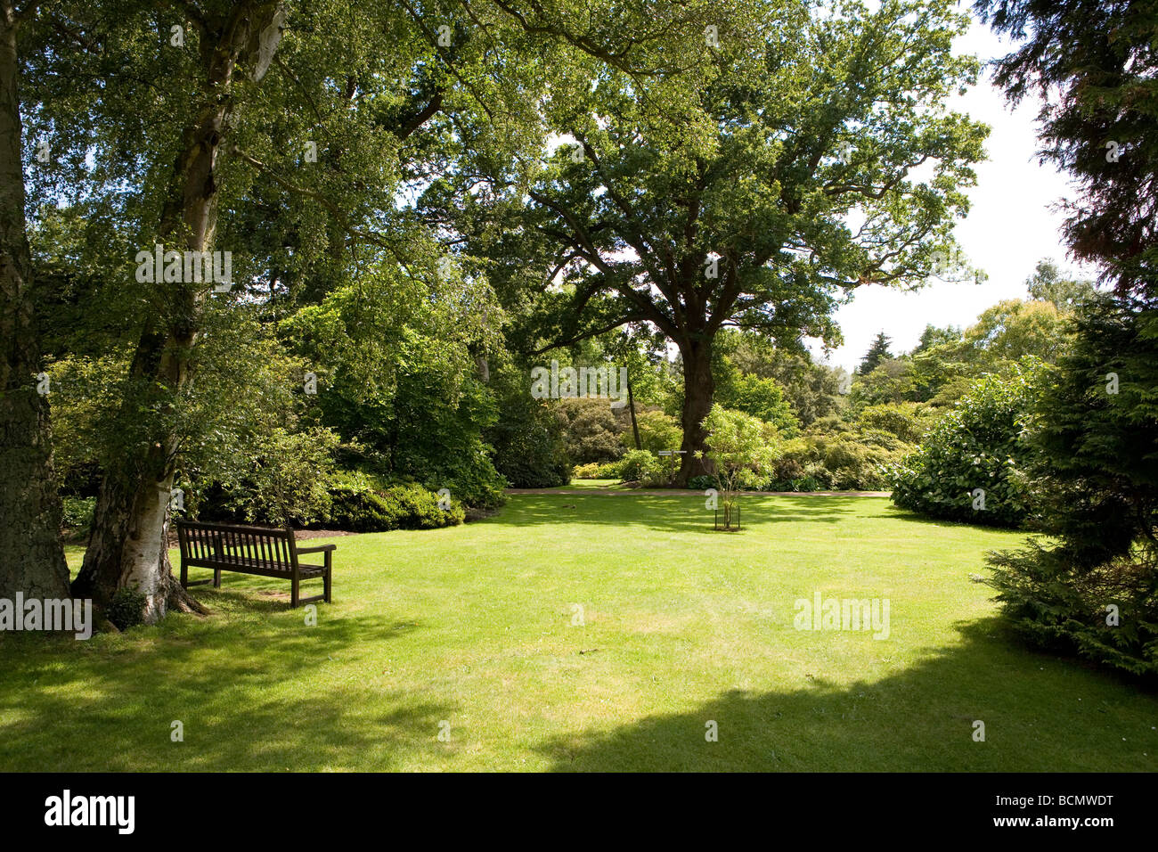 Savill Gardens Virginia Water Surrey England Stock Photo - Alamy