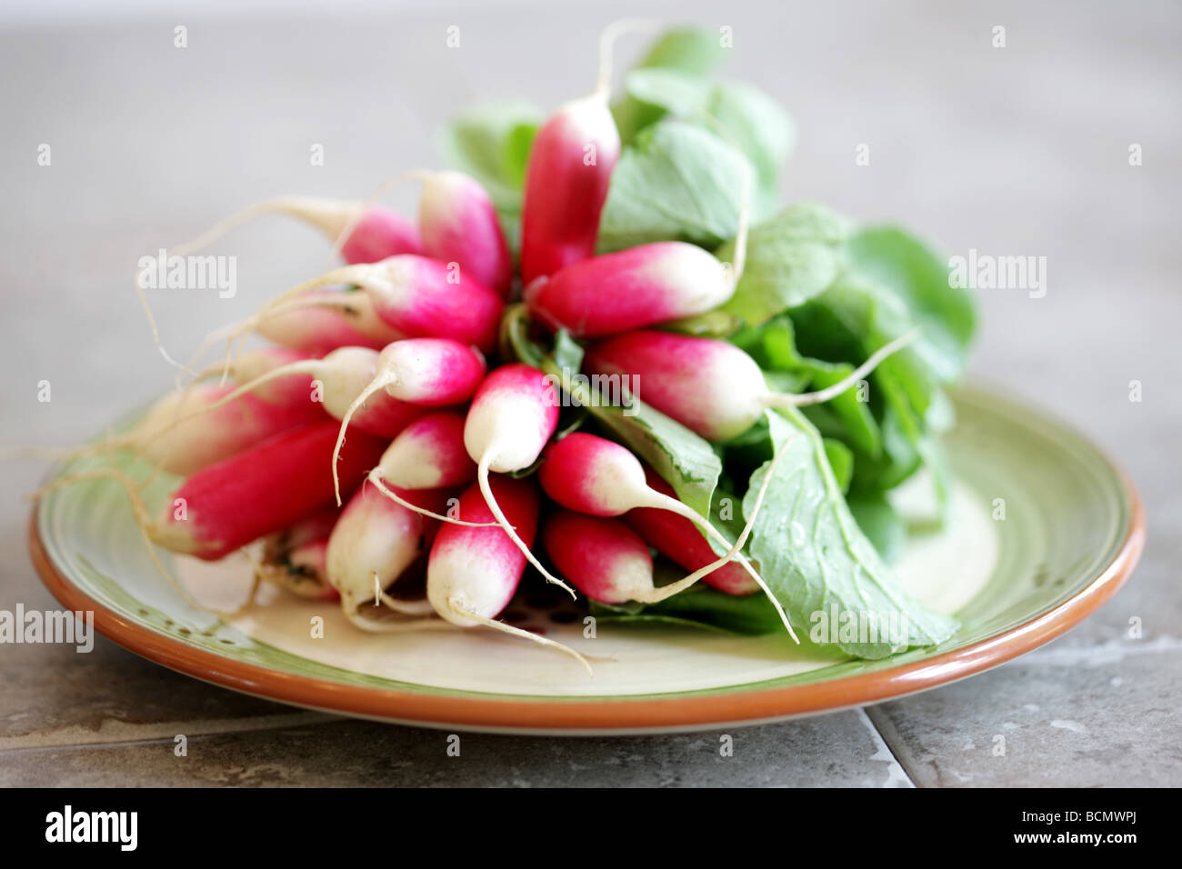 Non Ripe Raddish Raddish radish raddishes radishes vegetable vegetables food hi-res ...