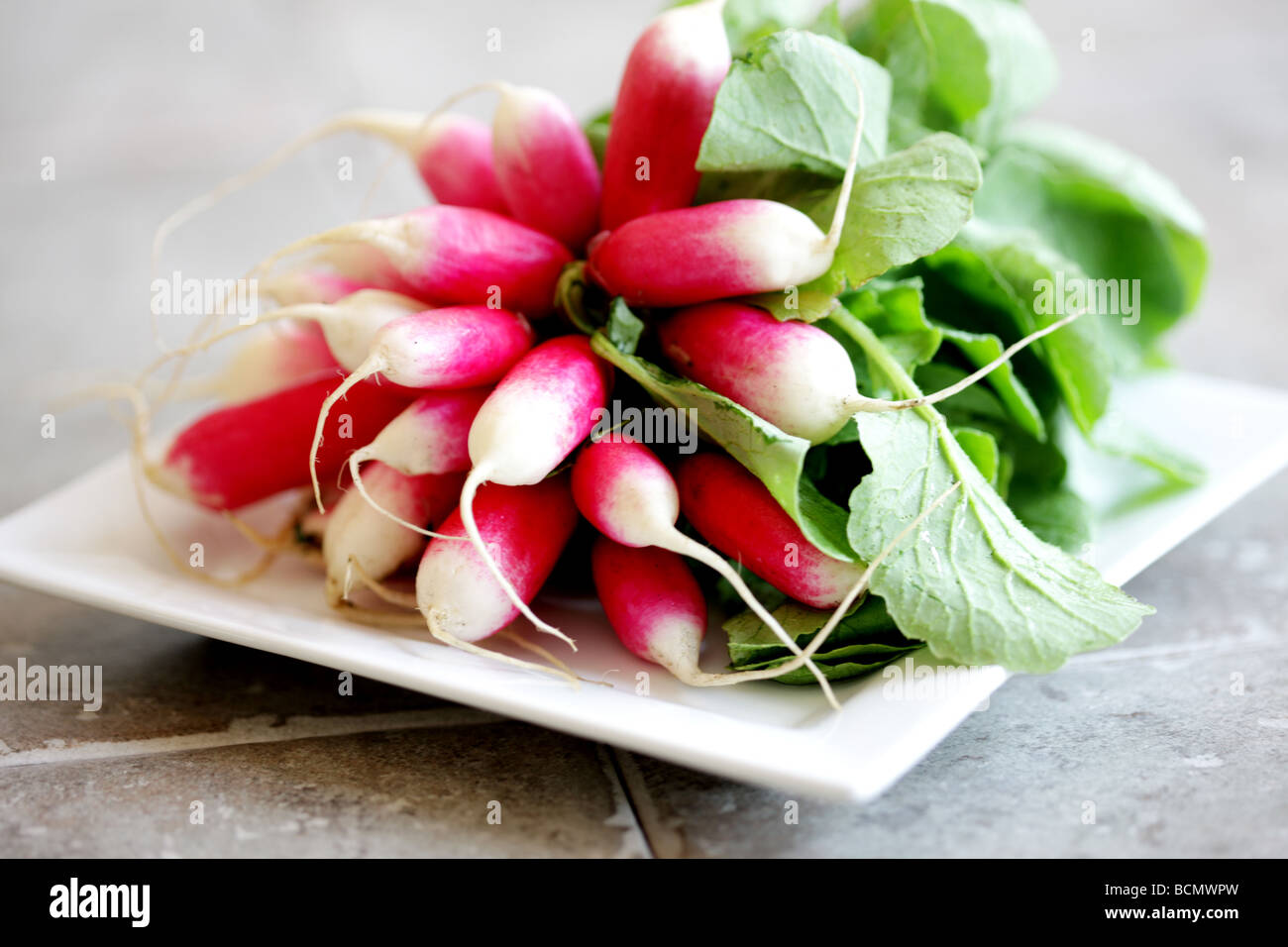 Fresh Raddsih Bunch of Fresh Radish Stock Photo - Alamy