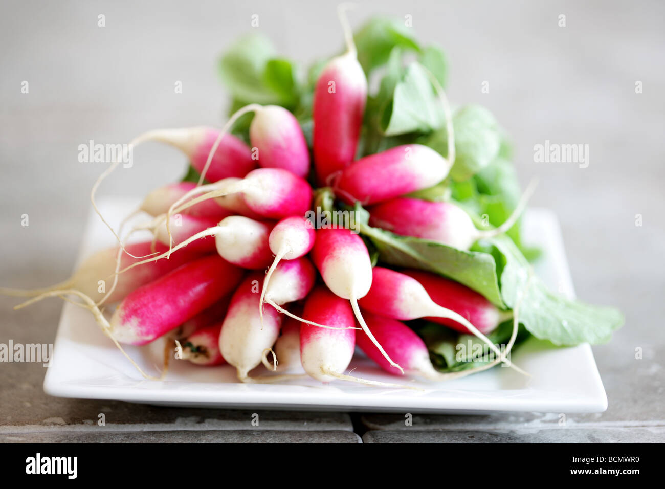 Fresh Raddsih Raddish radish raddishes radishes vegetable vegetables food hi-res ...