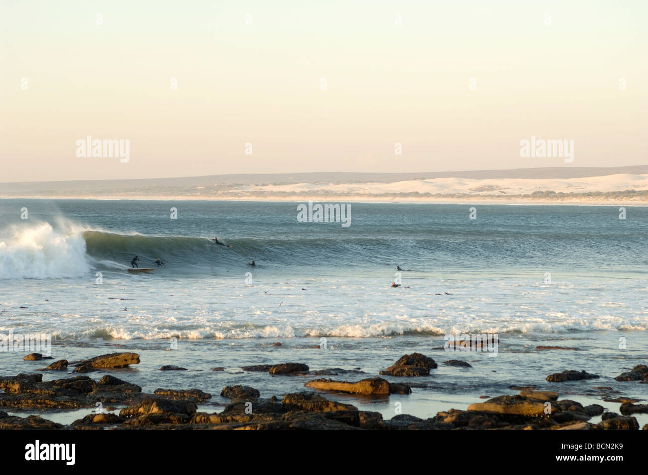 Surfers swimming in water, Elands Bay Stock Photo