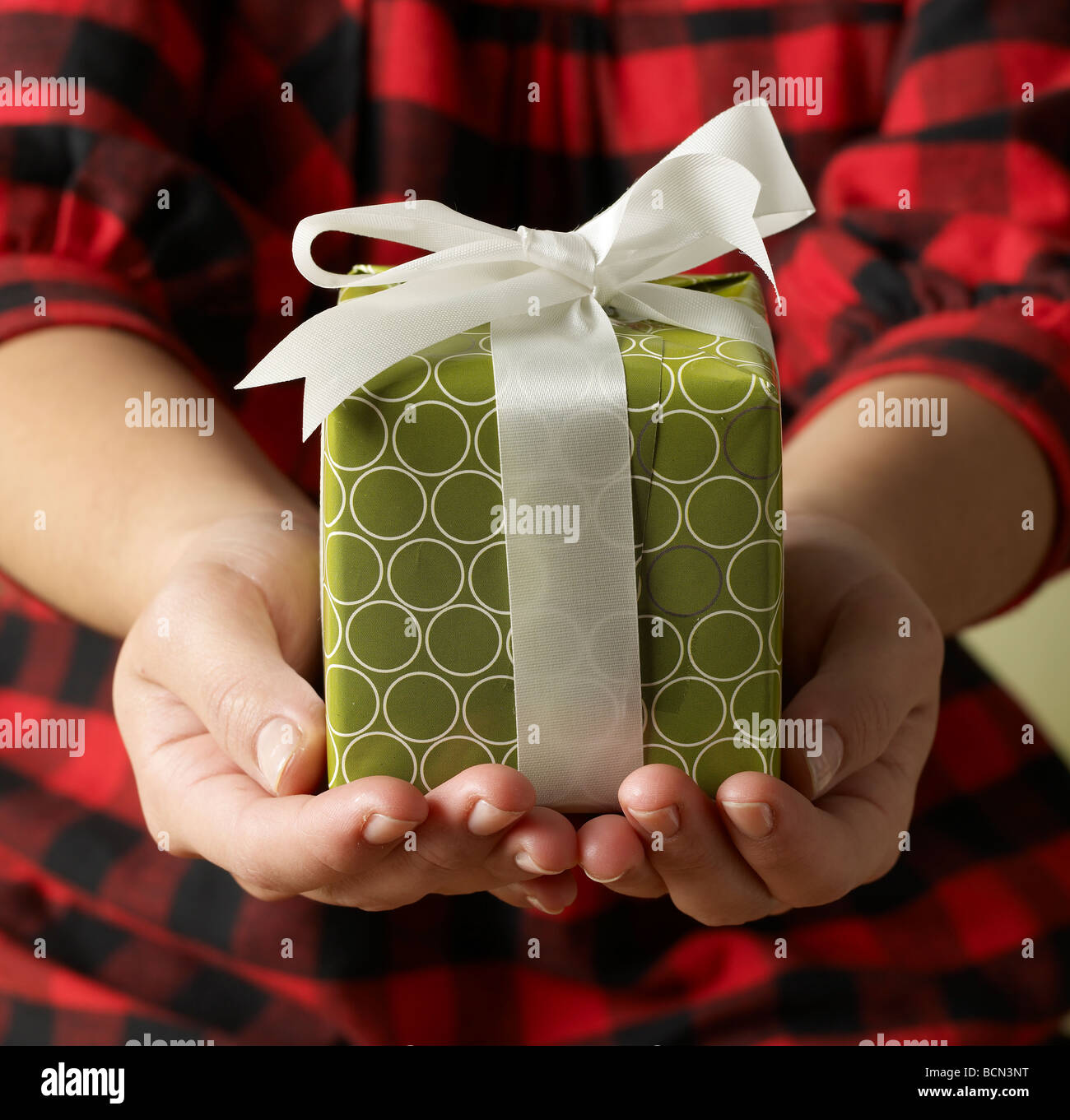 Gift in Woman's Hands Stock Photo