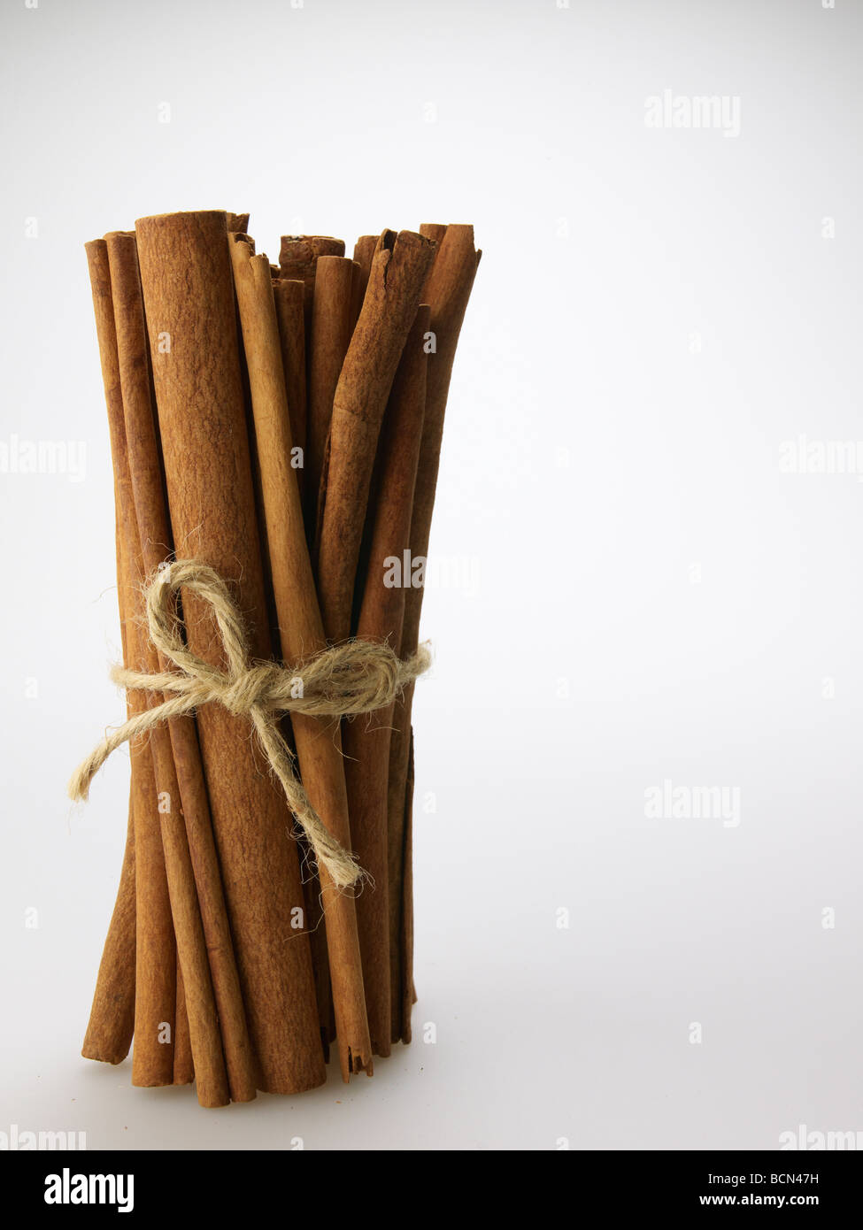 Bundle of Cinnamon Sticks Stock Photo