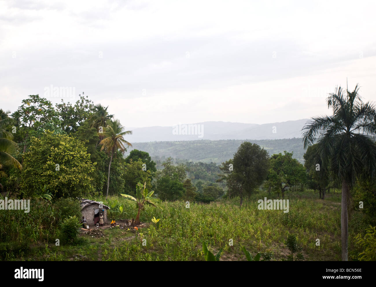 Saut d'eau waterfall in haiti hi-res stock photography and images - Alamy