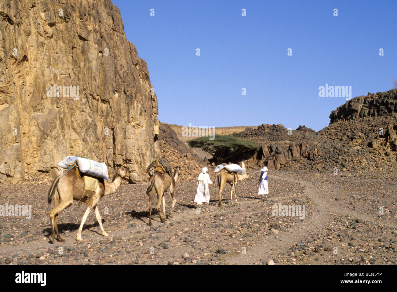 sudan nubia Bisharin Nomads atrum crater Bayuda desert Stock Photo