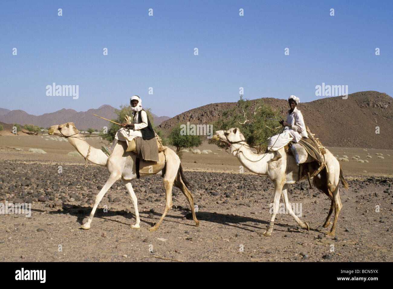 sudan nubia Bisharin Nomads atrum crater Bayuda desert Stock Photo