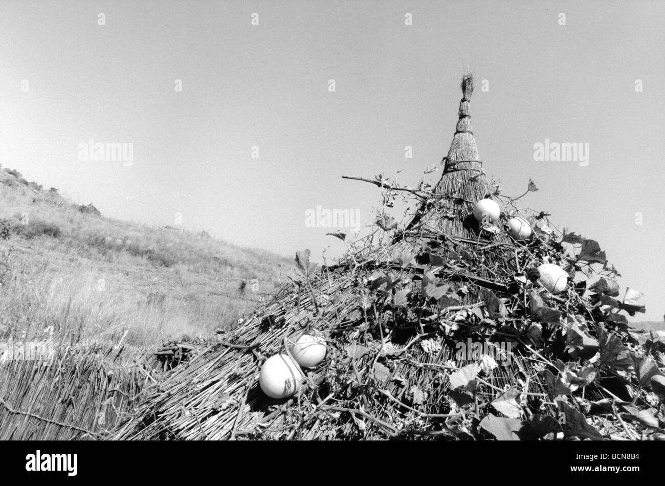 Sudan Nuba Mountain South Kordofan Stock Photo - Alamy