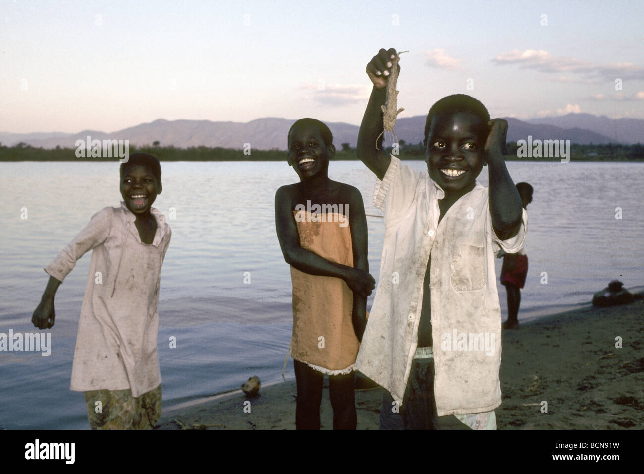 Catfish lake malawi hires stock photography and images Alamy