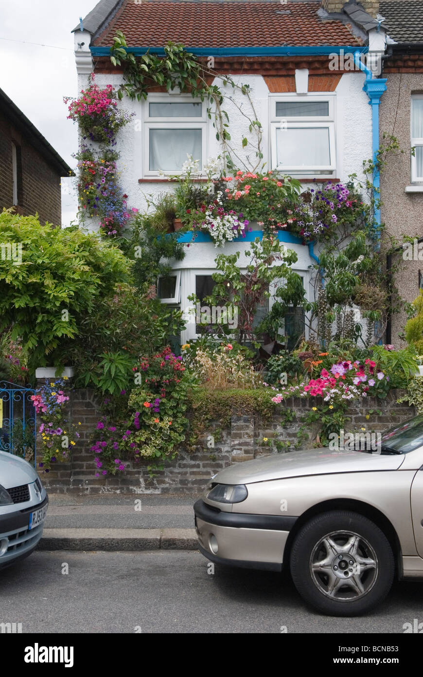 Front garden urban Walthamstow London E17 2009 House covered in flowers. Plants in small front gardens 2000s UK HOMER SYKES Stock Photo