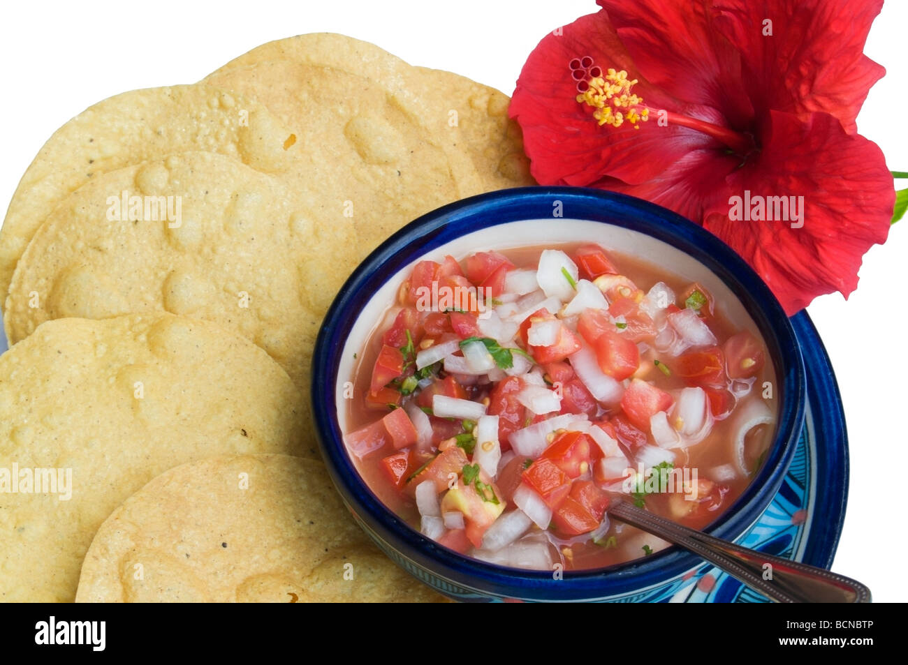 Tortilla chips and fresh salsa are served on a plate garnished with a red hibiscus flower. Stock Photo