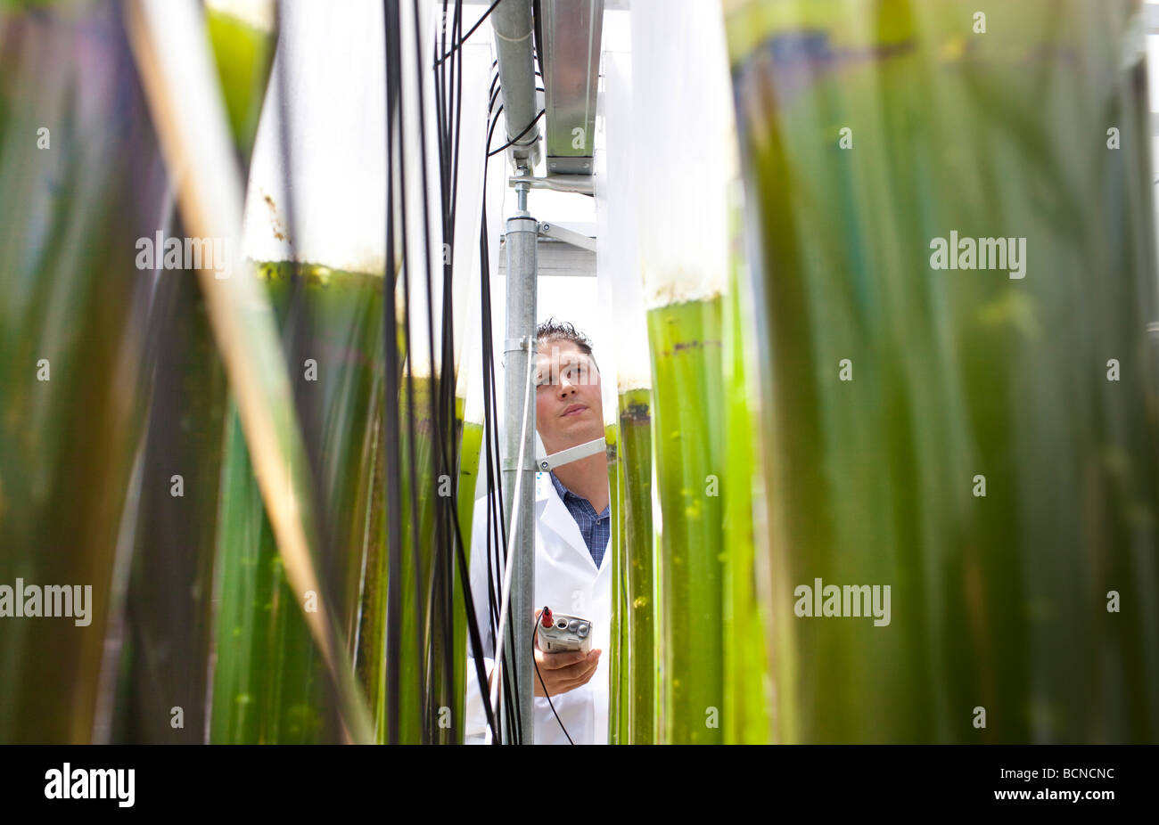 CO2 separation in fossil power plants projekt in research center Juelich Ph value with an analyzer Stock Photo