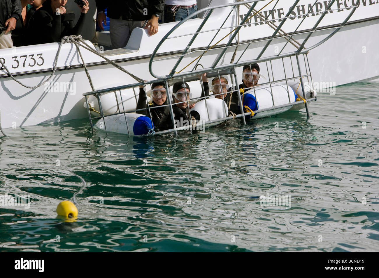 People in cage form boat for Shark Cage diving in sea Stock Photo