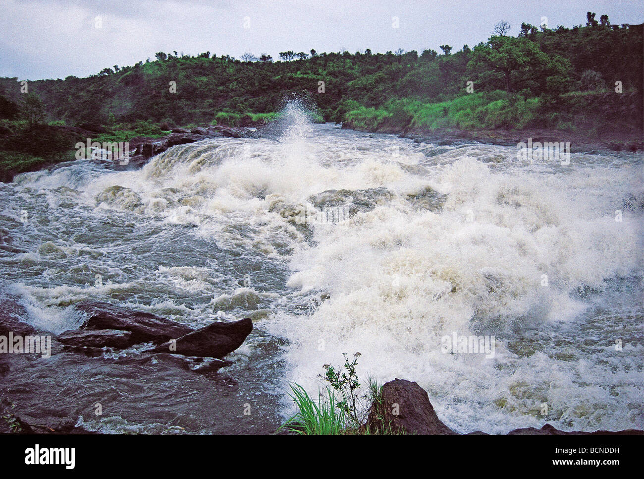 Rapids and foam on the River Nile above falls Murchison Falls National Park Uganda East Africa Stock Photo