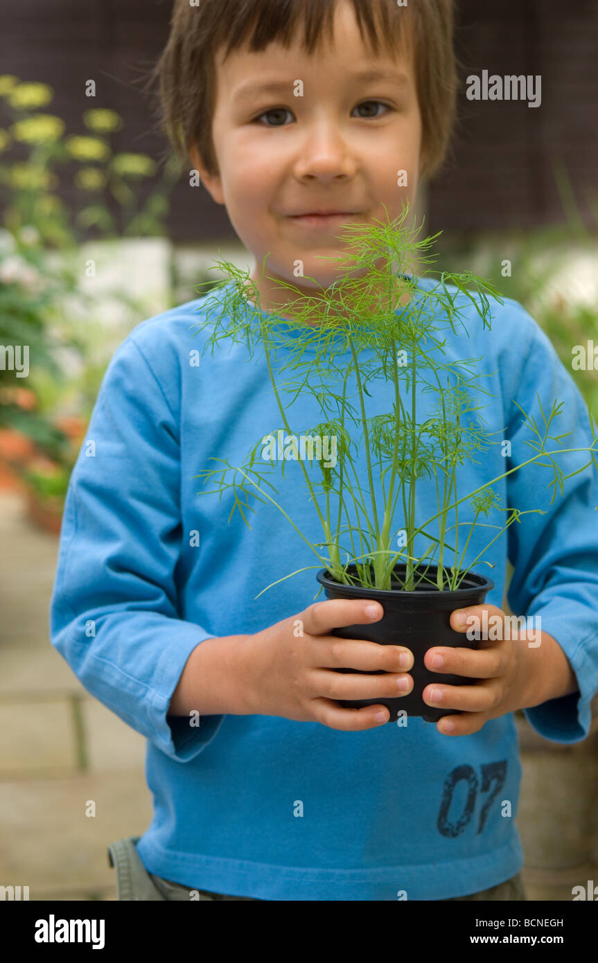 A six year old boy holing young fennel seedlings in the garden, England