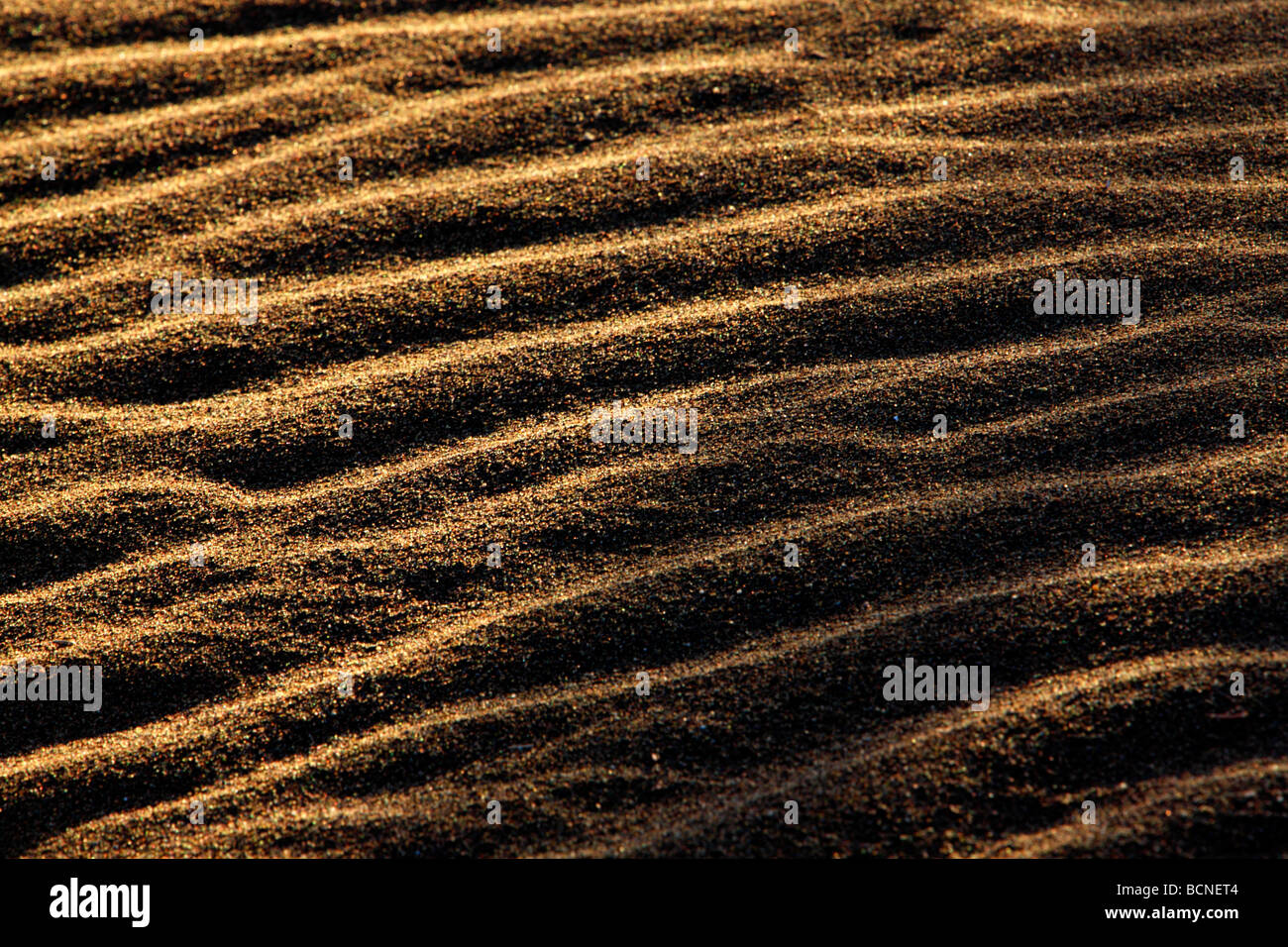 Ripple of sand in desert, Mori Kazakh Autonomous County, Changji Hui Autonomous Prefecture, Xinjiang Uyghur Autonomous Region, Stock Photo