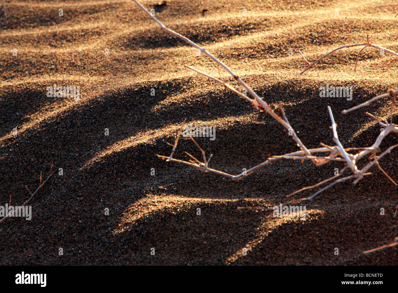 Ripple of sand in desert, Mori Kazakh Autonomous County, Changji Hui Autonomous Prefecture, Xinjiang Uyghur Autonomous Region, Stock Photo