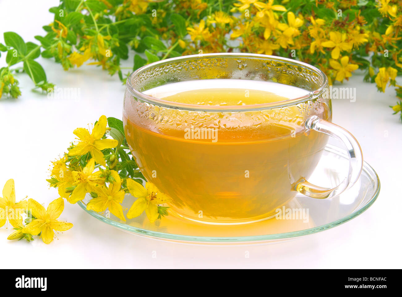Tee Johanniskraut tea St Johns wort 07 Stock Photo Alamy