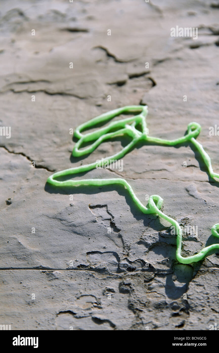 green party streamer spray foam on wall in sun outdoors Stock Photo Alamy
