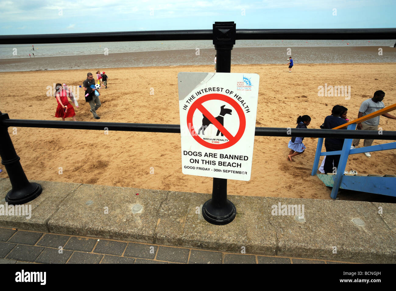 when can dogs go on the beach in cleethorpes