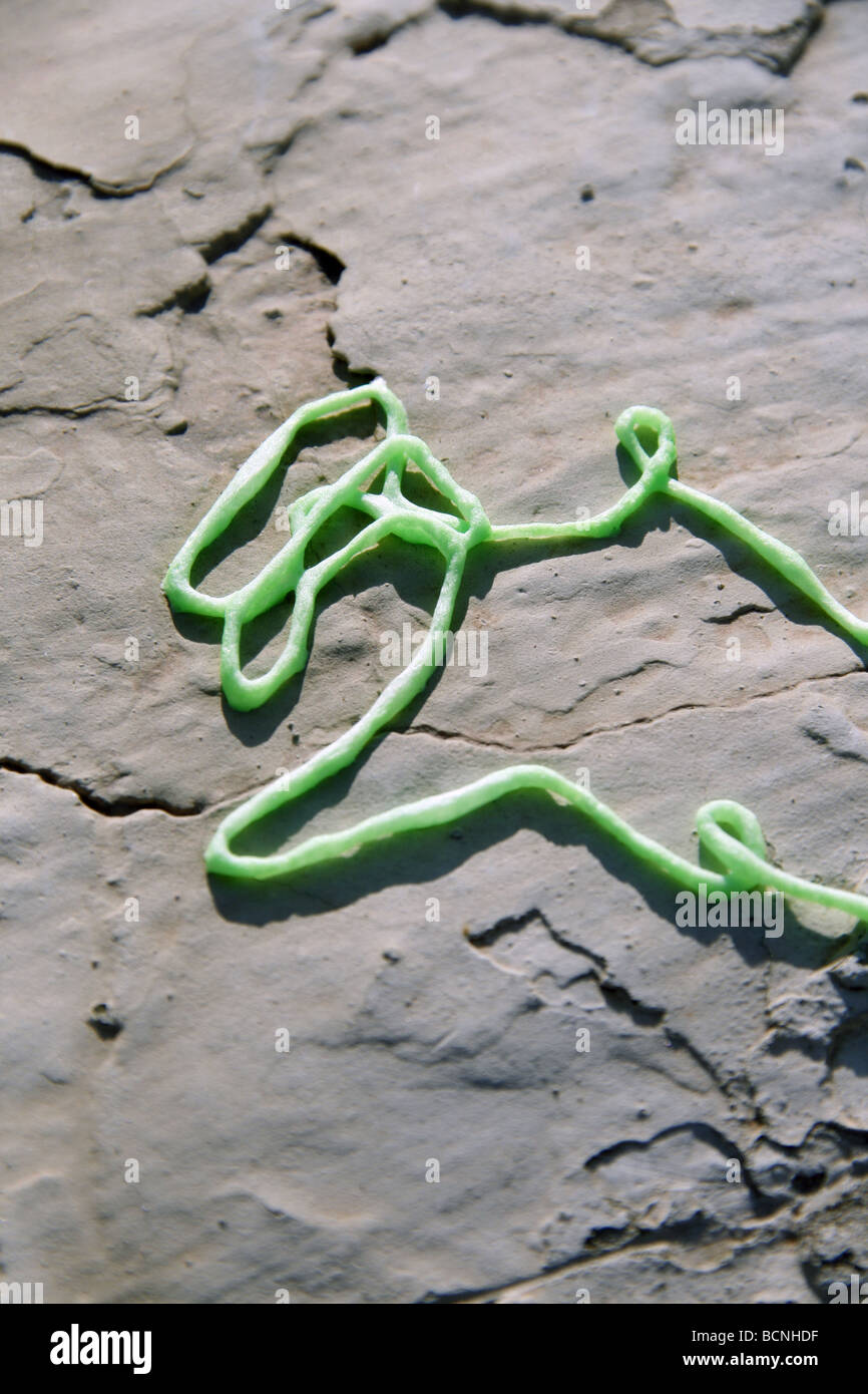 green party streamer spray foam on wall in sun outdoors Stock Photo Alamy