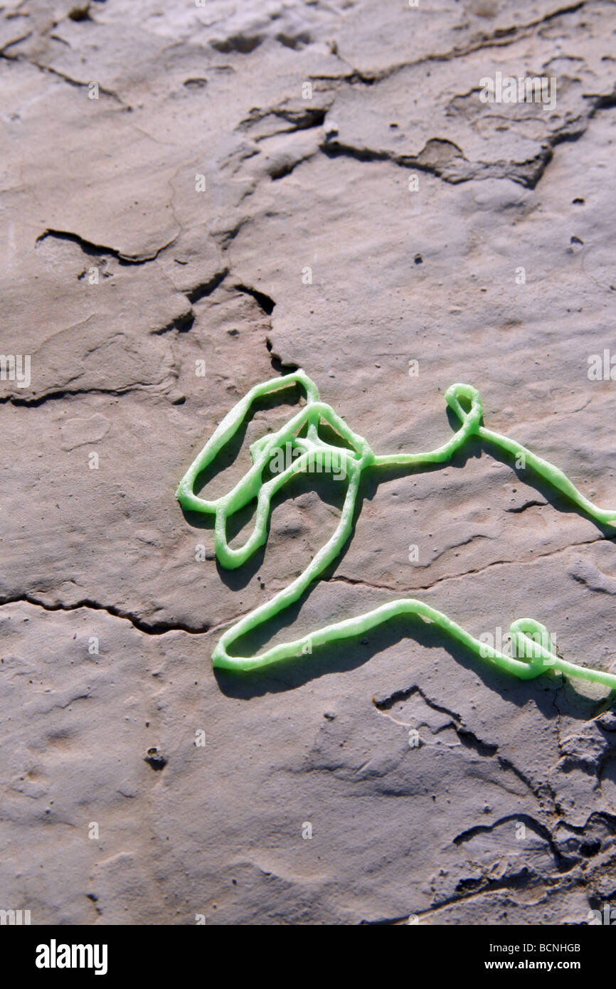 green party streamer spray foam on wall in sun outdoors Stock Photo Alamy