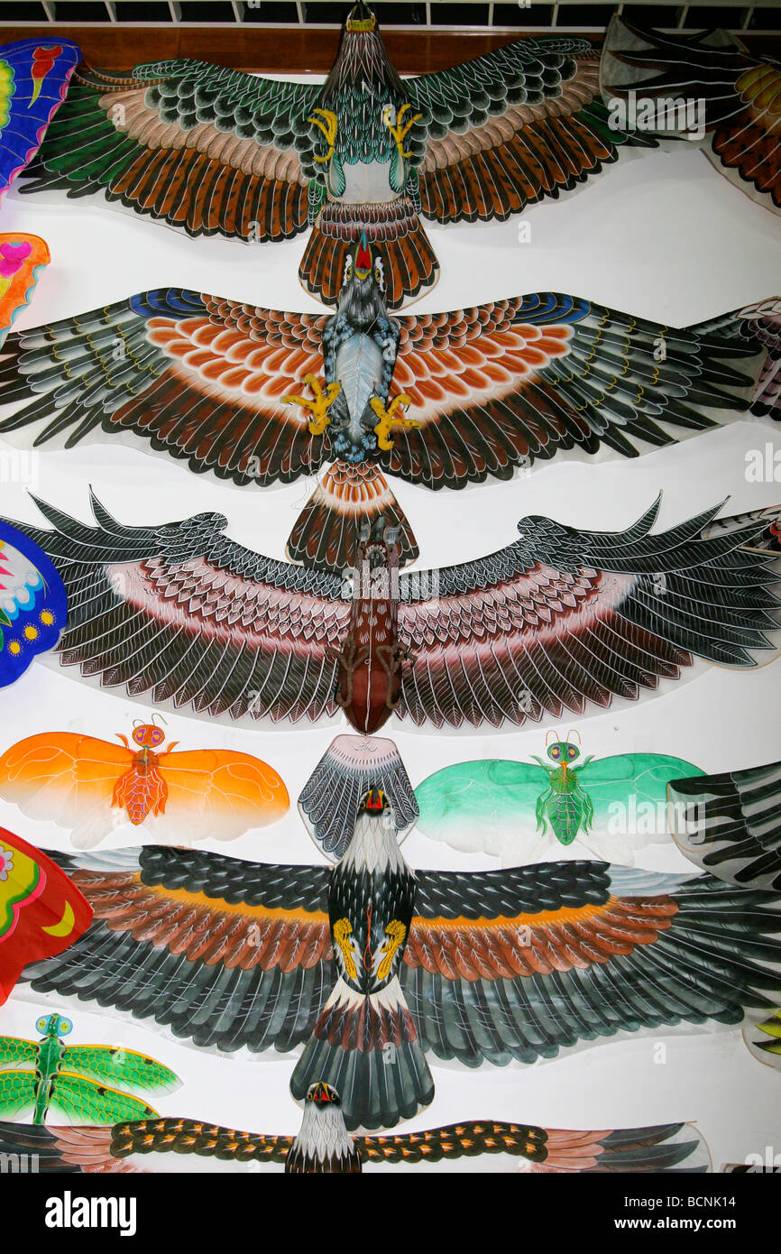 Kites with eagle design, The Kite Museum, Weifang, Shandong Province
