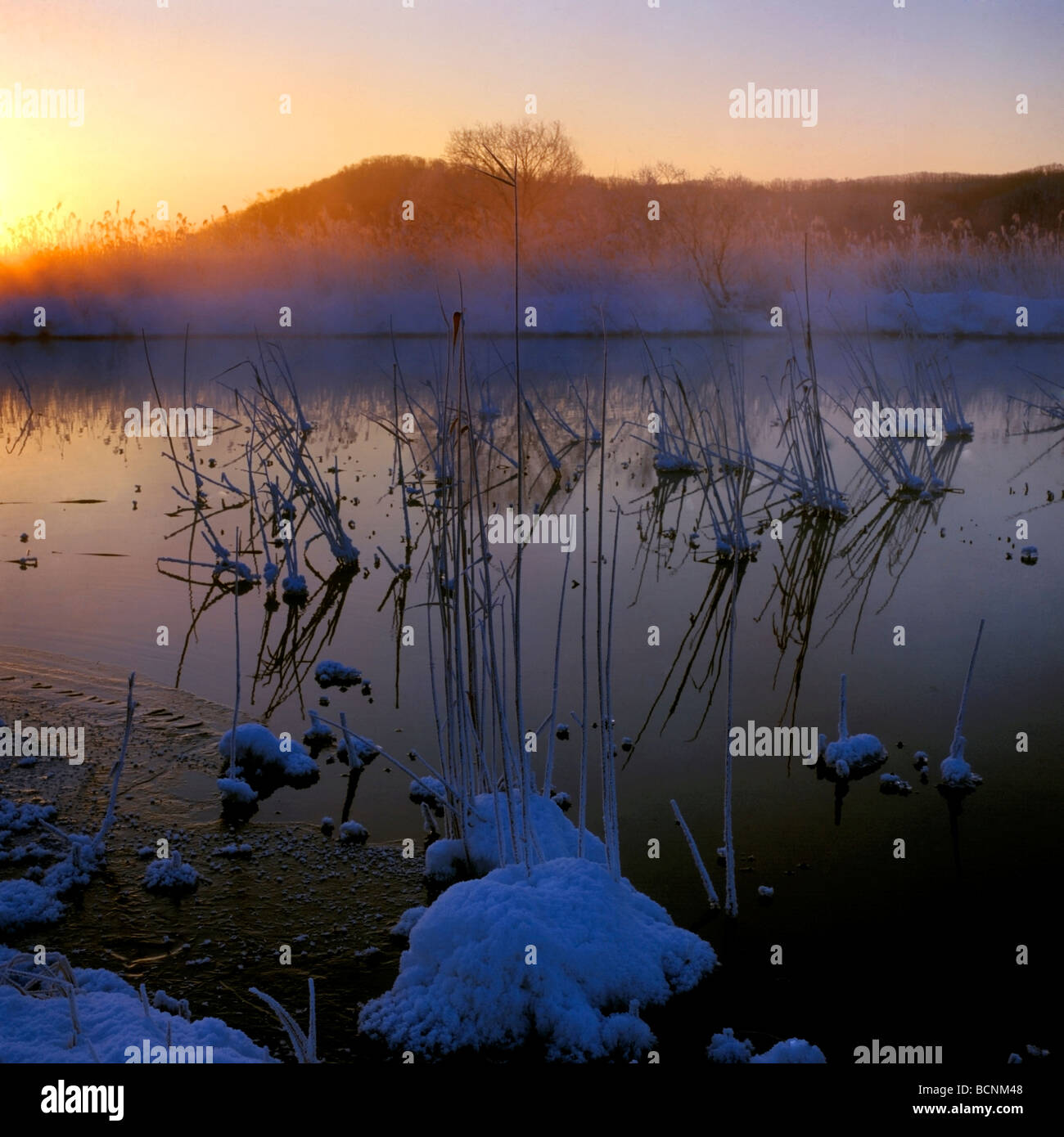 Dense forest and rushing river, Diaoshui Lake, Jingpo Lake National  Geopark, Mudanjiang, Heilongjiang Province, China Stock Photo - Alamy