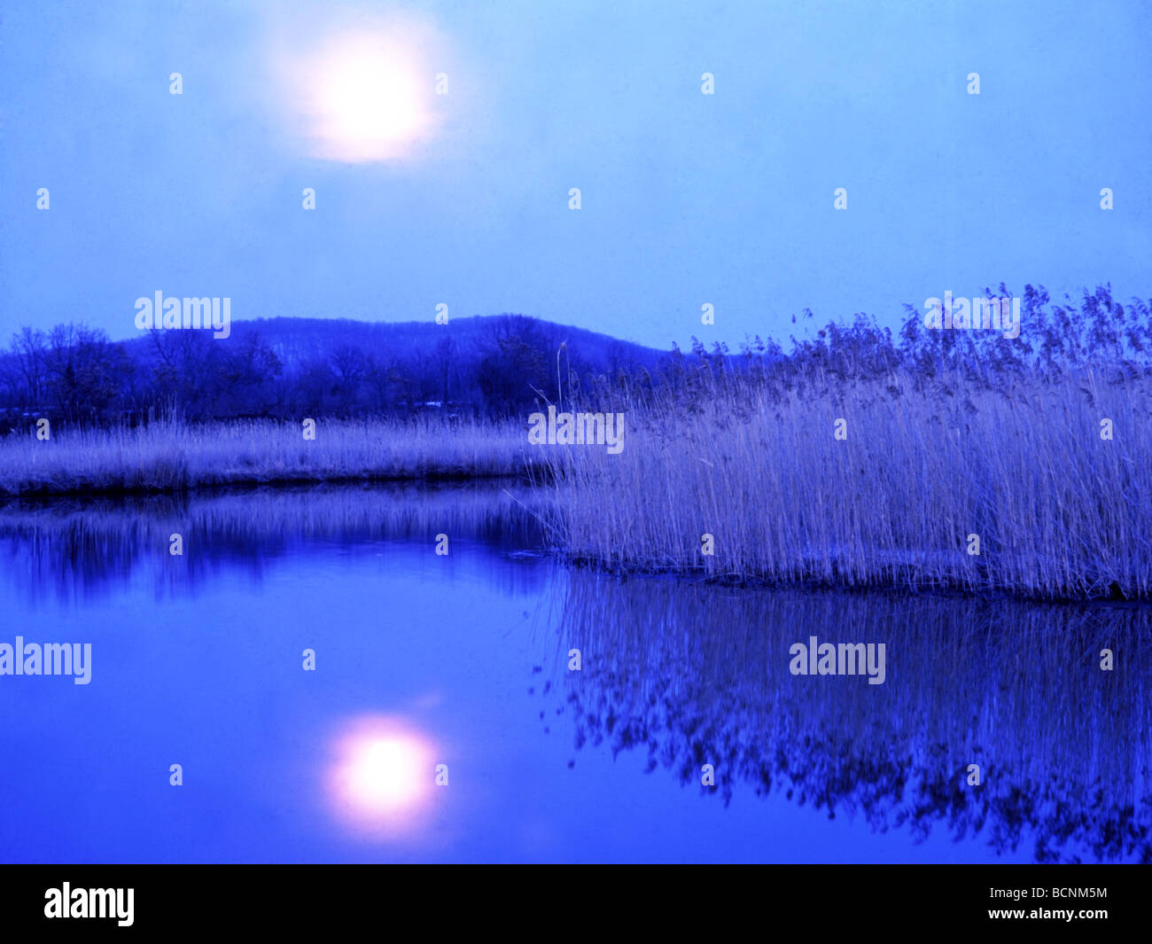 Dense forest and rushing river, Diaoshui Lake, Jingpo Lake National  Geopark, Mudanjiang, Heilongjiang Province, China Stock Photo - Alamy