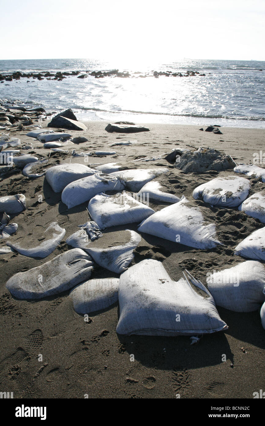 sand bags used as barrier on sea shore Stock Photo Alamy