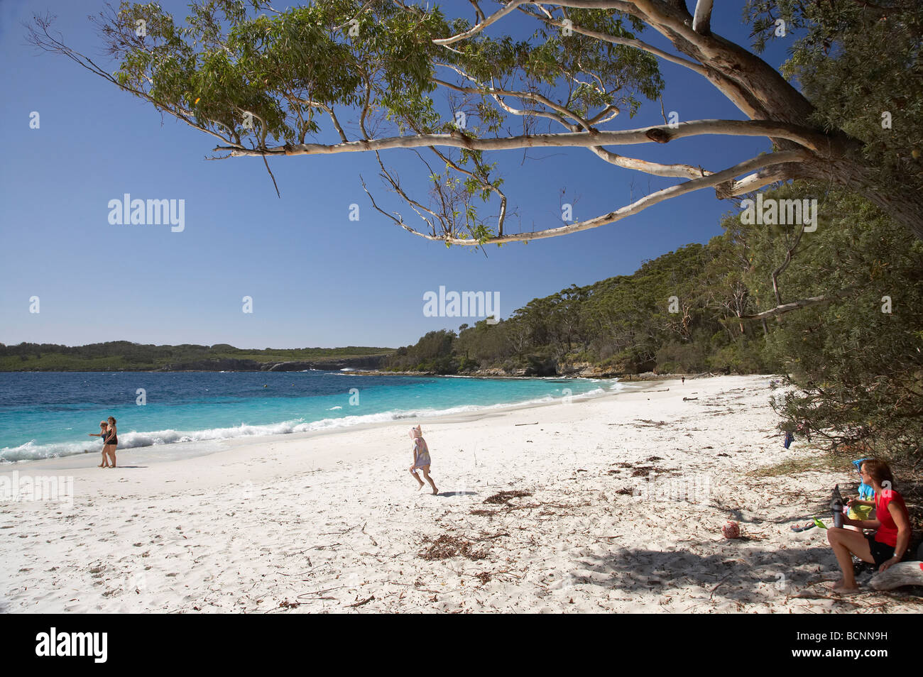 Murrays Beach Booderee National Park Jervis Bay Territory Australia ...