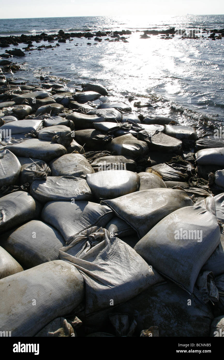 sand bags used as barrier on sea shore Stock Photo Alamy