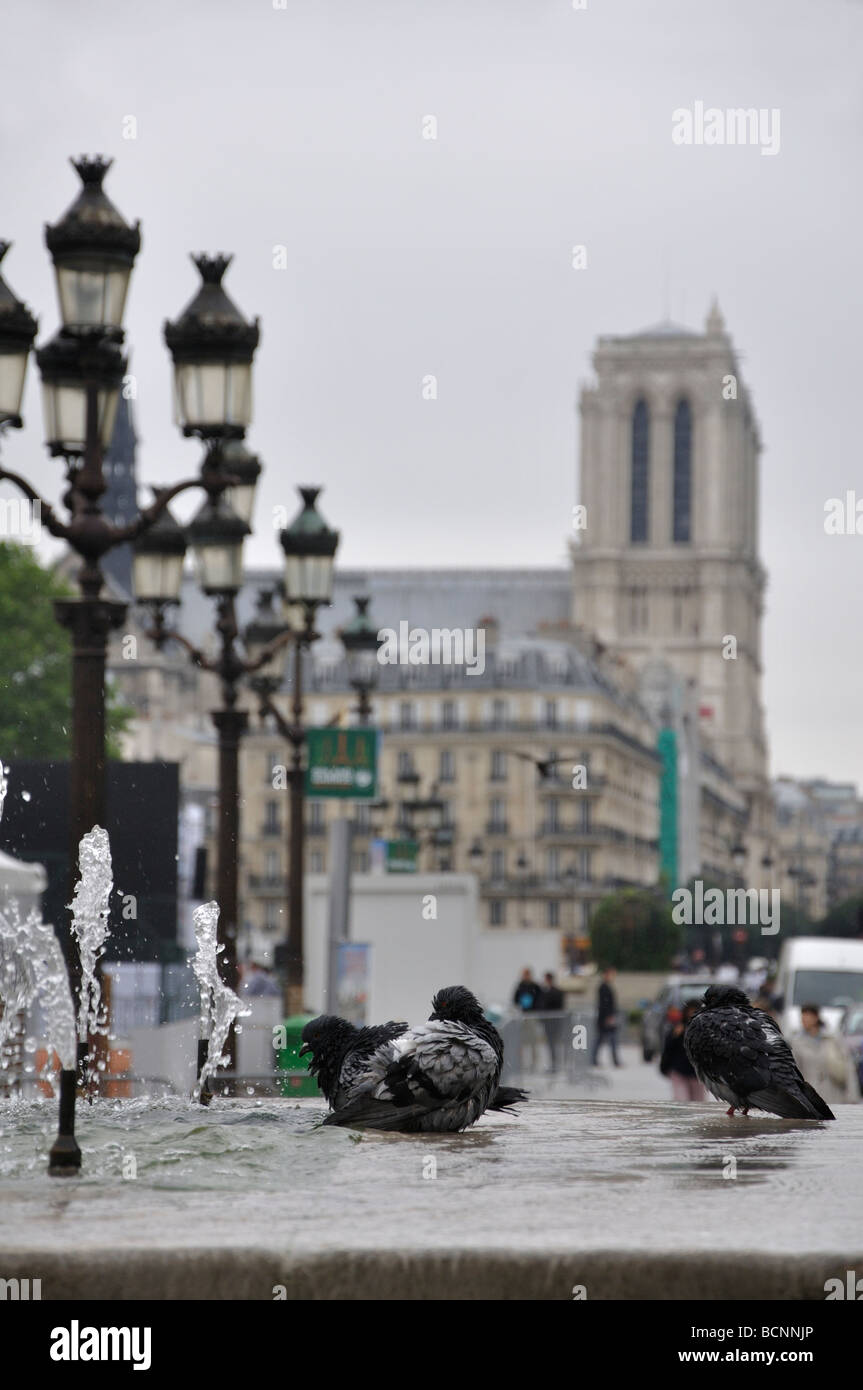 Paris france fountain birds hi-res stock photography and images - Alamy