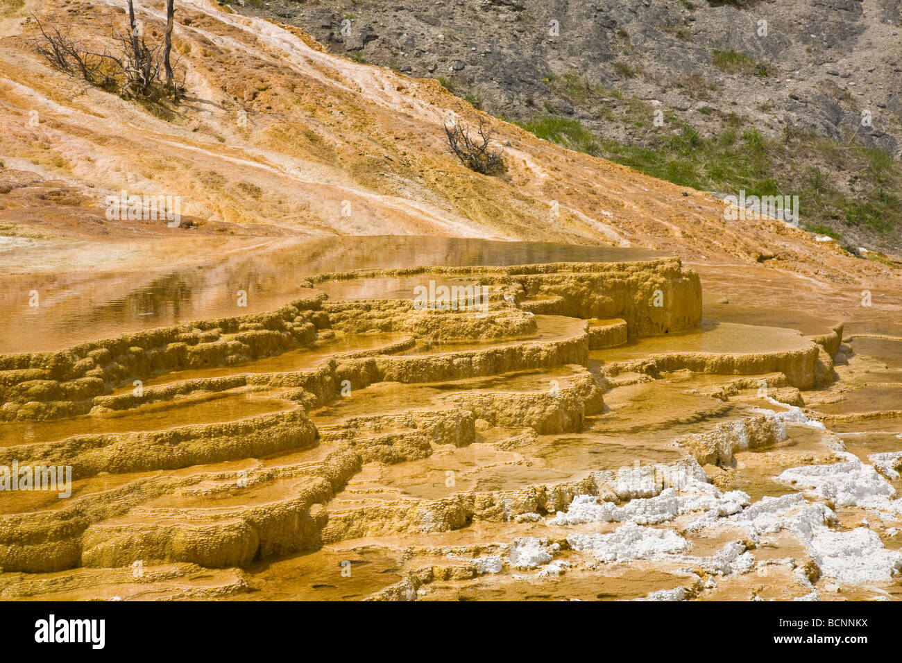 Limestone deposits at Travertine Terraces at Mammoth Hot Springs in