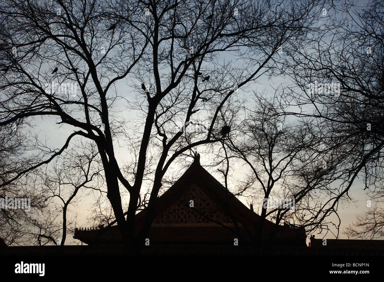 Hall of Military Eminence, Forbidden City, Beijing, China Stock Photo