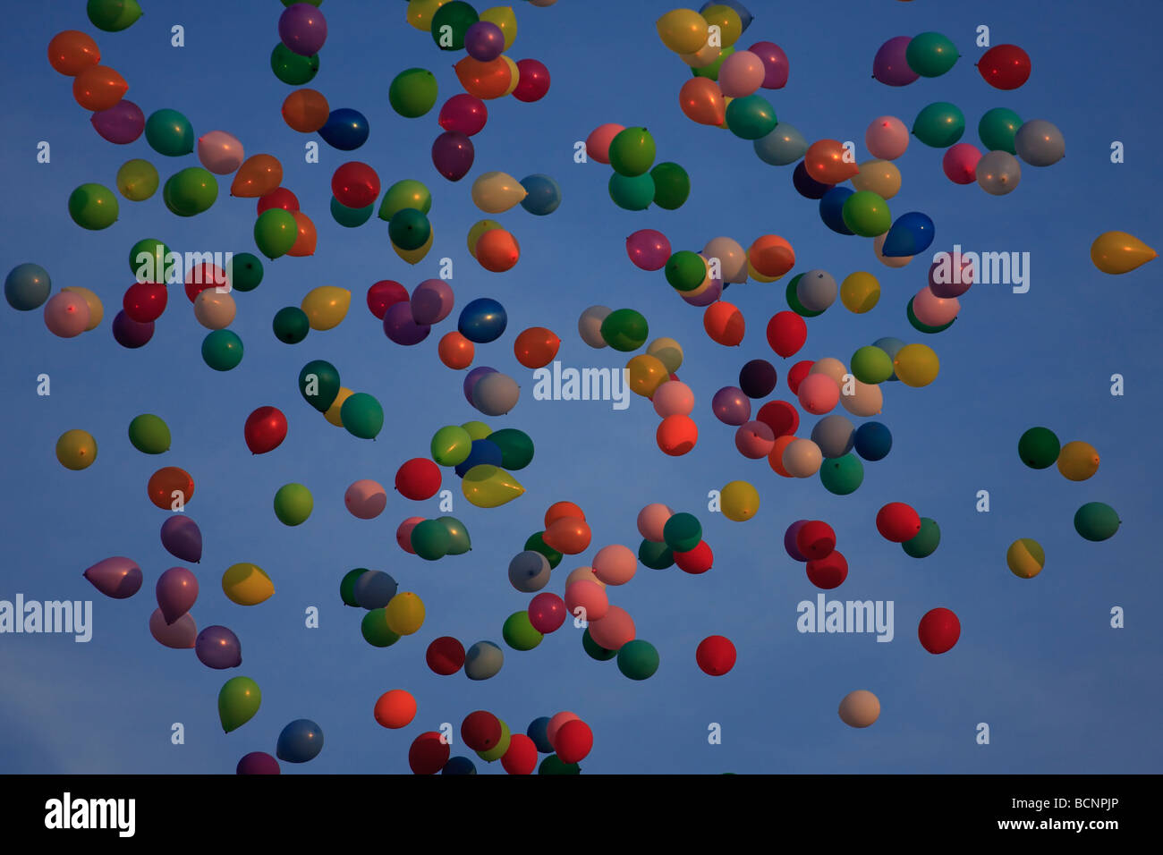 Balloons filled with helium floating away against a blue sky. Stock Photo