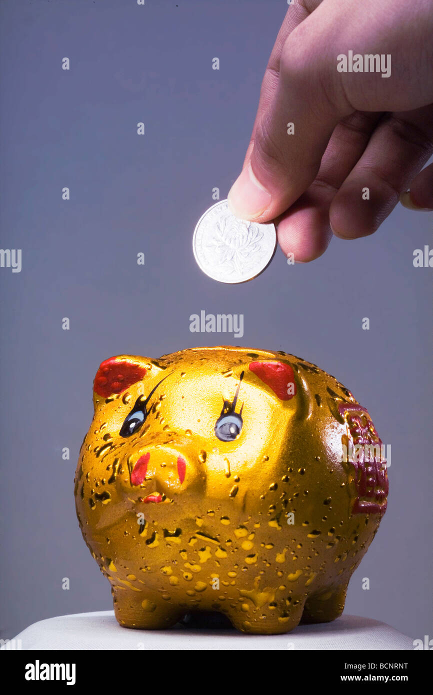 Hand putting one Chinese Renminbi coin into golden piggy bank Stock ...