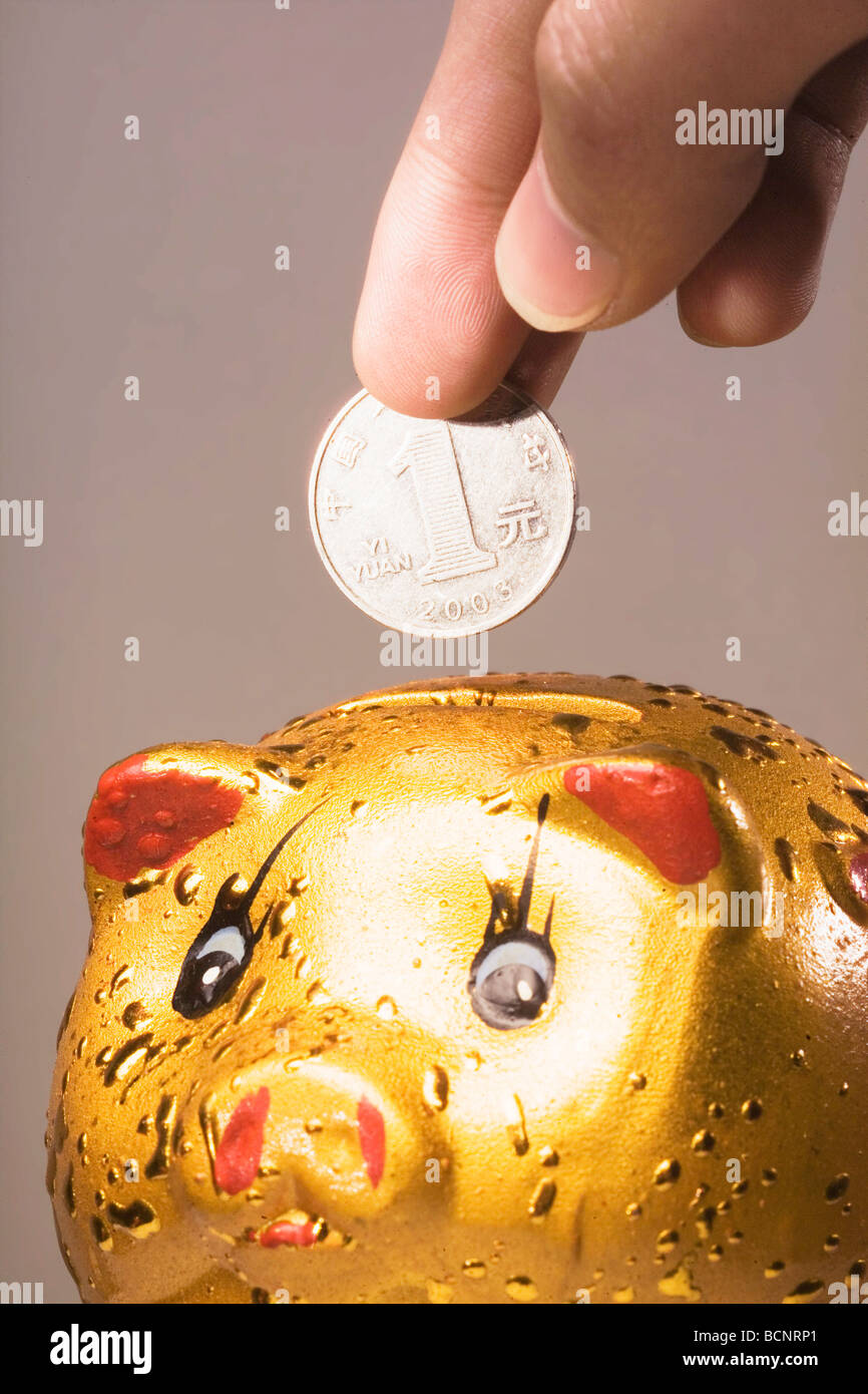 Hand putting one Chinese Renminbi coin into golden piggy bank Stock ...