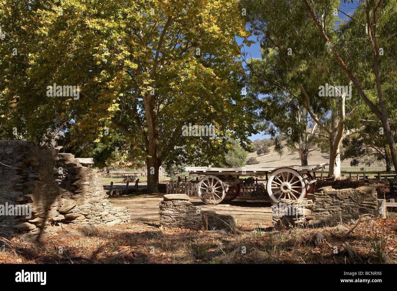 Old Wagon Autumn Colour and ruins of Joseph Carberry s Inn Gundagai Southern New South Wales Australia Stock Photo