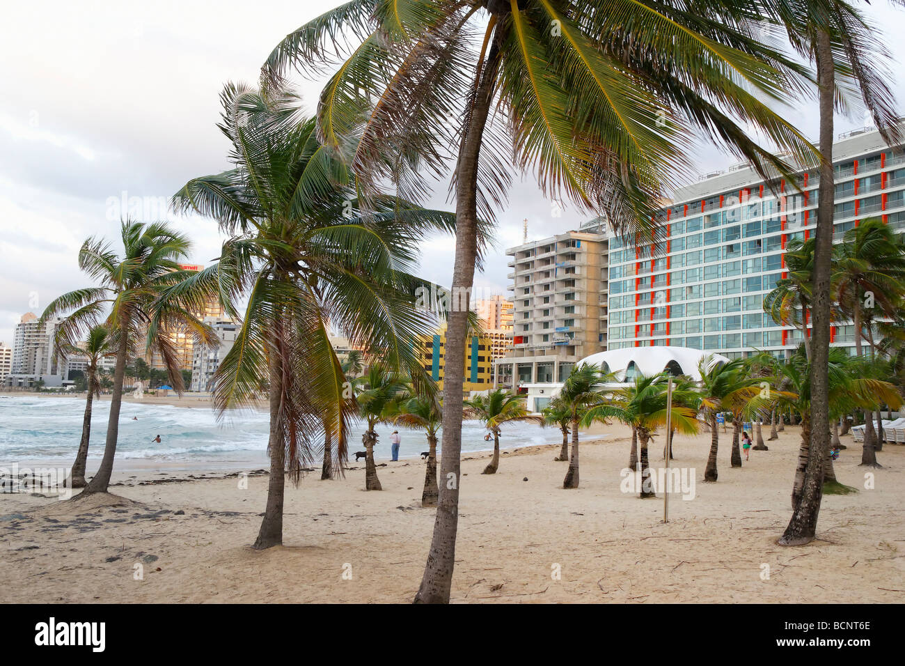 View of a Palm Covered Beach Marriott Renaissance Hotel San Juan Puerto Rico Stock Photo