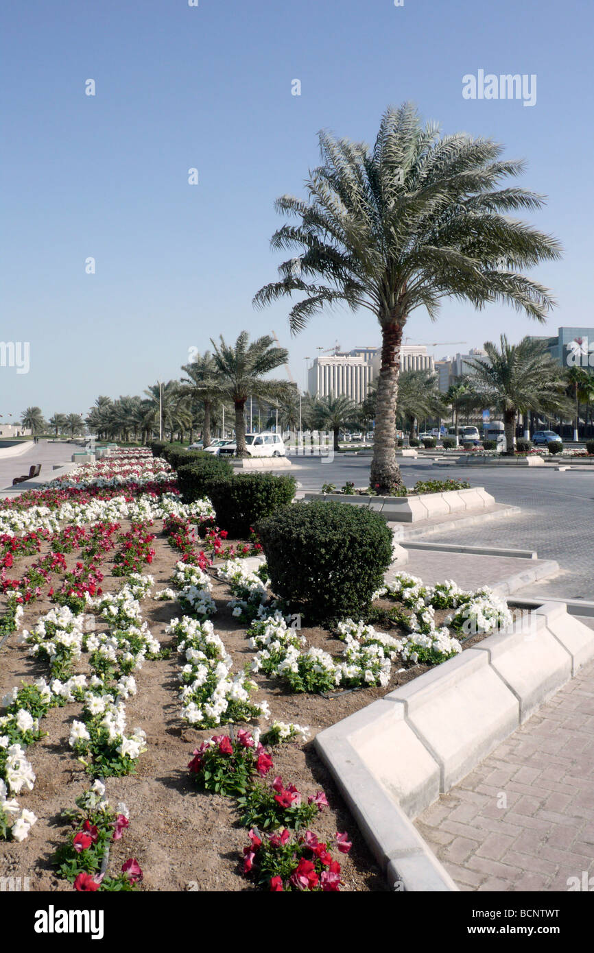 qatar doha flowers in the centre city Stock Photo Alamy
