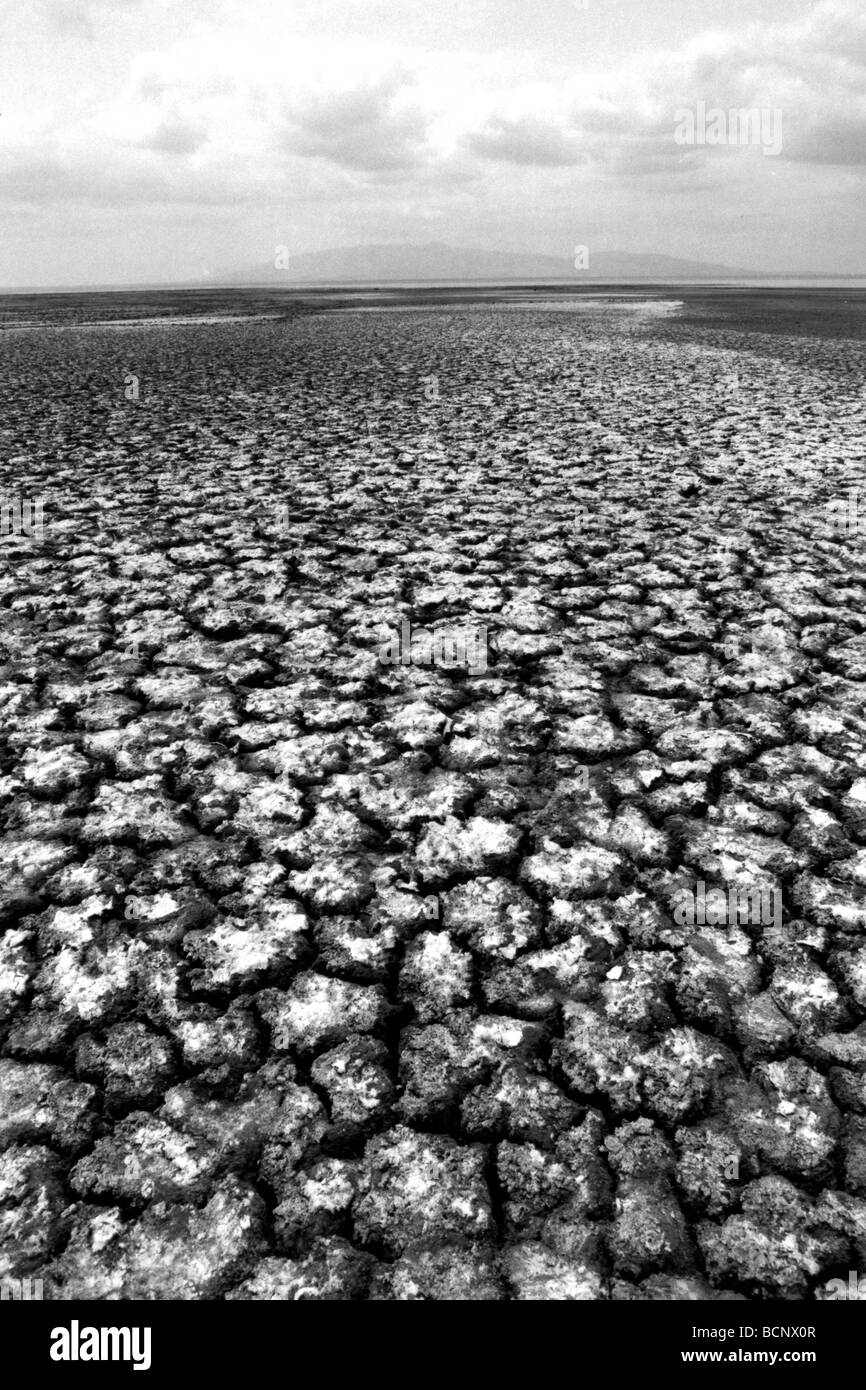 tanzania Dry lake in the Myanara National Park Stock Photo