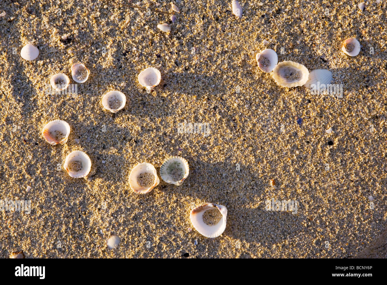 Hebridean island beach hi-res stock photography and images - Alamy