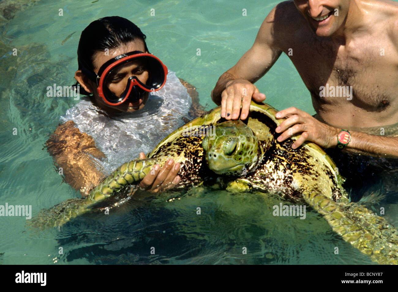 Turtle farm mexico hi-res stock photography and images - Alamy
