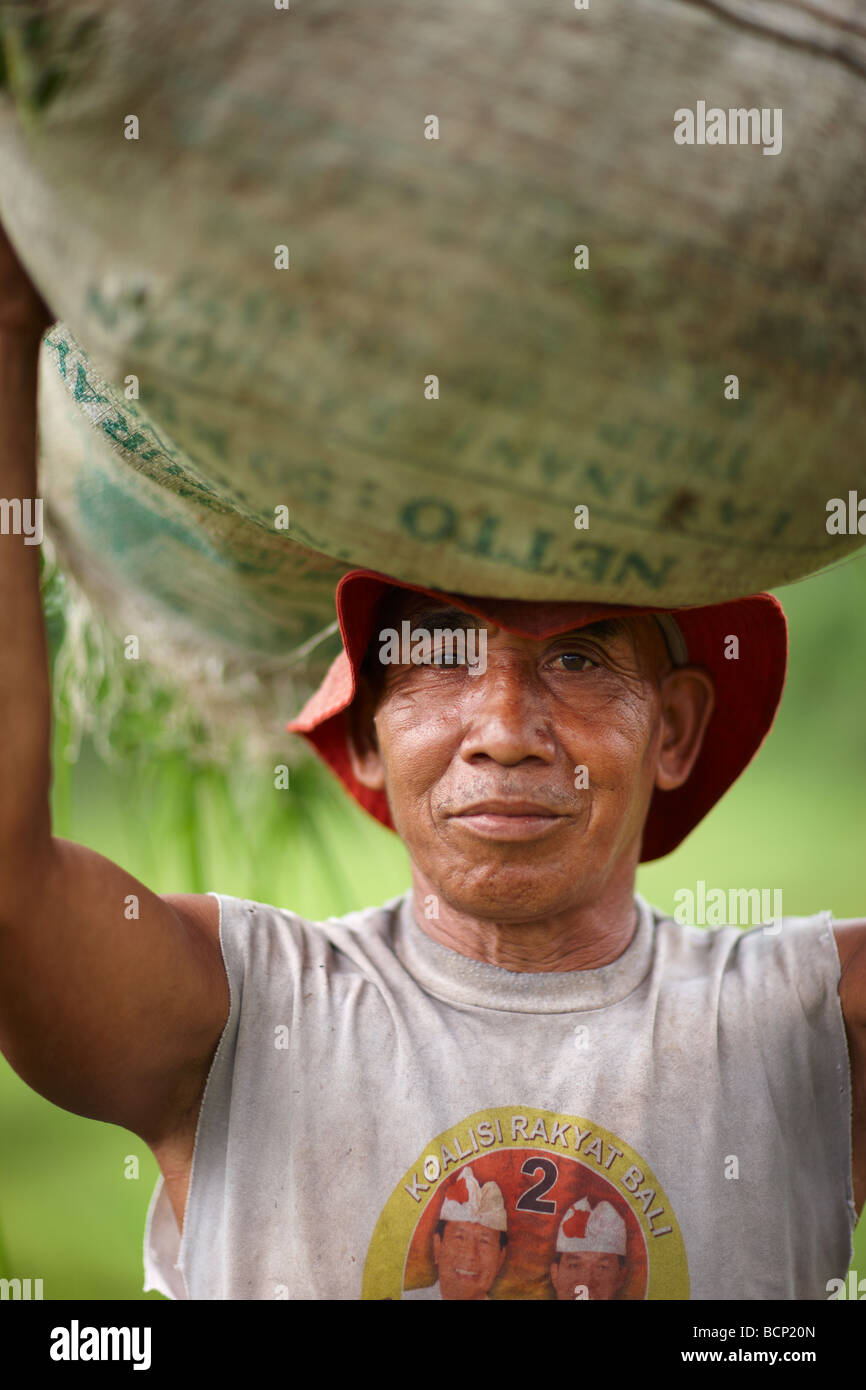a farmer carrying a sack of rice on his head, nr Tirtagangga, Bali, Indonesia Stock Photo