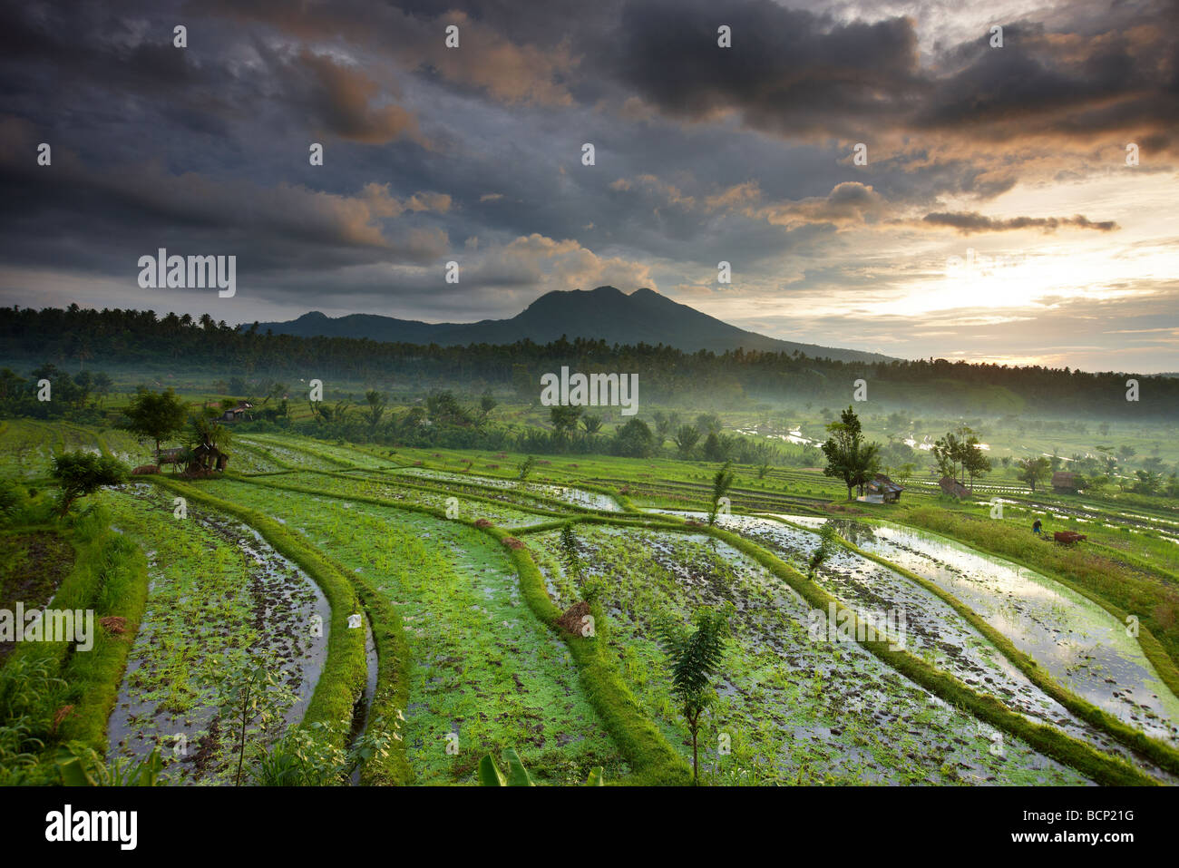 terraced rice fields near Tirtagangga at dawn with the sun rising over the volcanic peak of Gunung Lempuyang, Bali, Indonesia Stock Photo