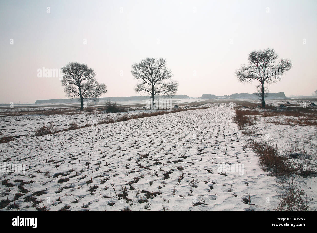 Deshengbao hi-res stock photography and images - Alamy
