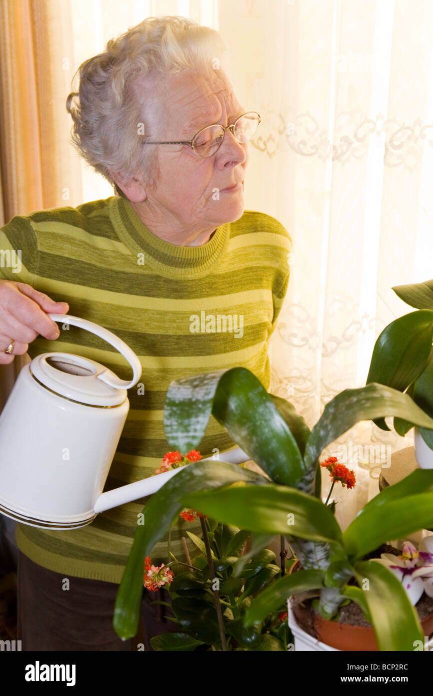 Frau in ihren Siebzigern steht im Wohnzimmer und gießt ihre Pflanzen Stock Photo