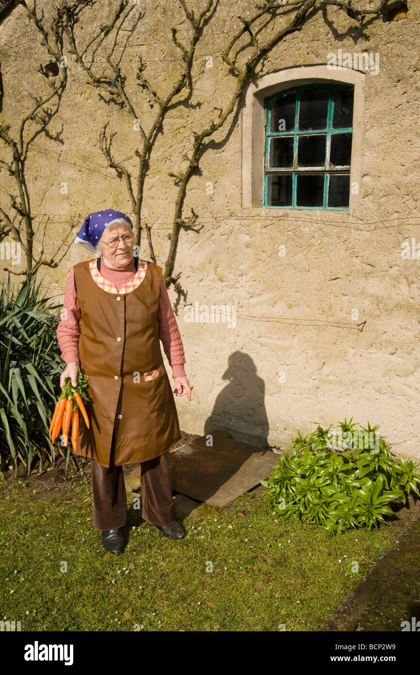 Frau in ihren Siebzigern mit Kopftuch trägt ein Bündel Mohrrüben Stock Photo